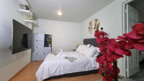 Departamento céntrico, amplio y nuevo cerca del Aeropuerto y GNP-Foro sol